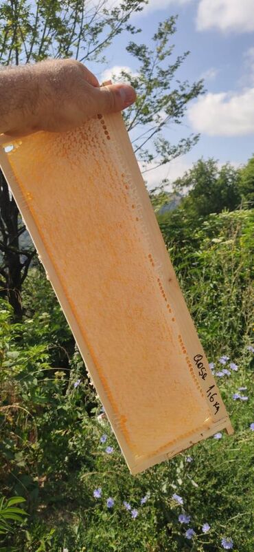 Bal: ELF BEE'S 1977 ECO-PRODUCT FOR HEALTH AND LONGEVITY Tovuzun -da lalafo.az — 9 Bal: ELF BEE'S 1977 ECO-PRODUCT FOR HEALTH AND LONGEVITY Tovuzun — 9