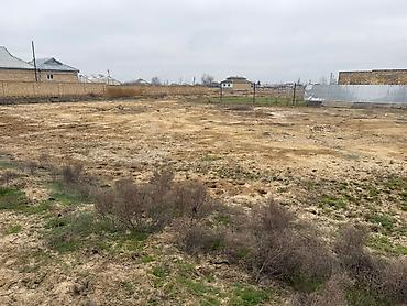 Torpaq sahələrinin satışı: 12 sot, Barter mümkündür -da lalafo.az — 12 Torpaq sahələrinin satışı: 12 sot, Barter mümkündür — 12