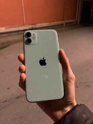 Apple iPhone: IPhone 11, 64 GB, Alpine Green, Face ID