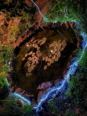 Продажа коттеджей и домов: Продаётся уютный, полностью готовый к проживанию дом в черте города — — 22