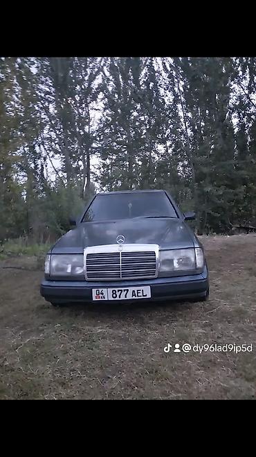 bud e9: Mercedes-Benz W124: 1988 г., Механика, Бензин, Седан — 1