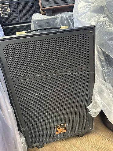 radiotehnika s90: Портативная акустическая система SSRI 3102 (Professional Active — 2