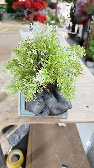 dekor dasi: Dekorativ mini “bonsai” kompozisiyası - Material: süni bitki — 2
