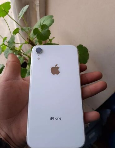 айфон xr 256 гб цена бишкек: IPhone Xr, Колдонулган, 128 ГБ, White Titanium, Заряддоочу түзүлүш, Коргоочу айнек, 81 %