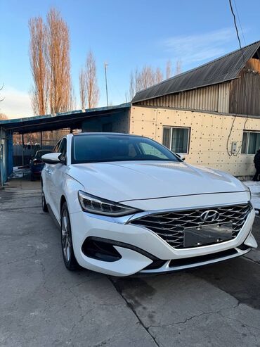 Другие детали кузова: Hyundai : 2019 г., 1.6 л, Типтроник, Бензин, Седан