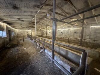 Həyət evləri və villaların satışı: 4 otaqlı, 300 kv. m, Kredit yoxdur, Orta təmir — 6