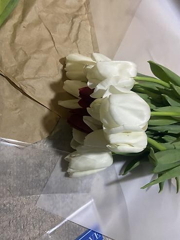 Букеты из живых цветов: Тюльпаны срезанные, упаковка по тюку в крафт-бумаге. - Палитра — 6