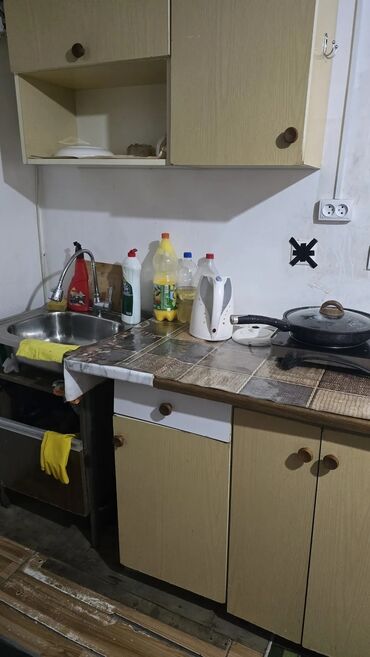 присмотр за домом с проживанием без хозяев: 20 м²
