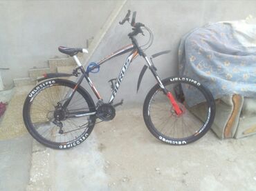 steel sport velosiped: Dağ velosipedi 29"
