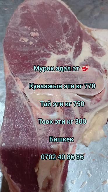 курбан кара: Халал мясо “Мурок” (Бишкек) - Говядина/телятина: конина? На фото — 1