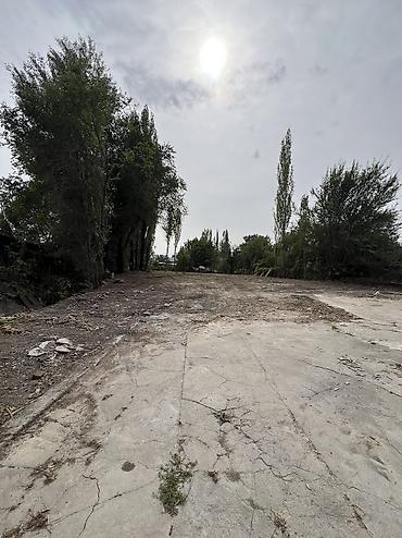 Продажа участков: 14 соток, Для строительства — 4