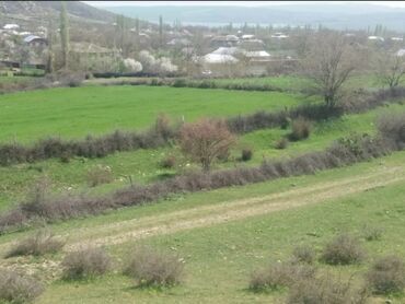 Torpaq sahələrinin satışı: 19 sot, Kənd təsərrüfatı, Mülkiyyətçi, Kupça (Çıxarış) — 3