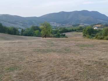 torpaq sahəsi satılır: 135 sot, Kənd təsərrüfatı, Kupça (Çıxarış)