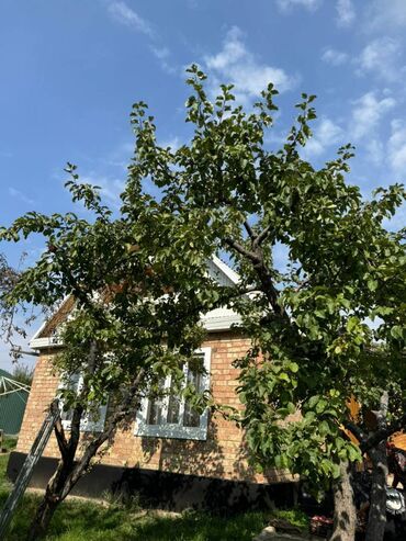 Продажа домов: Дом, 50 м², 2 комнаты, Собственник, Евроремонт — 14