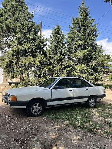 запчасти на опель вектра с: Audi 100: 1989 г., 1.8 л, Механика, Бензин, Седан — 4