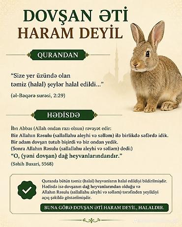 ucuz heyvanlar: Kaliforniya və burqun dovşanlarinin hər ay balalari və halal kəsilmiş — 3