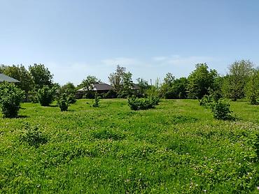 Torpaq sahələrinin satışı: 4 sot, Tikinti — 7