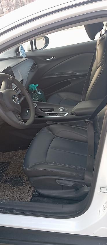 Buick: Buick : 2023 г., Электромобиль, Универсал — 8