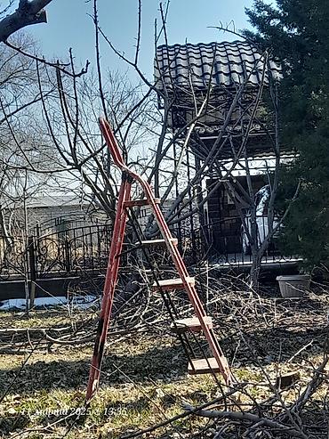 ремонт подушки: Обрезка, обработка. Плодовых и хвойных деревьев. Стрижка живой — 7
