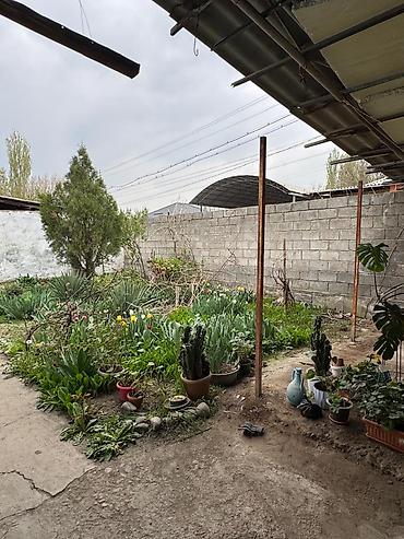 Продажа коттеджей и домов: Срочно продается уютный дом в с. Киргшелк! Локация: ул. Мичурина (10 — 4