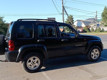 жип мошина: Jeep : 2004 г., 2.8 л, Автоматические, Дизель, Внедорожник