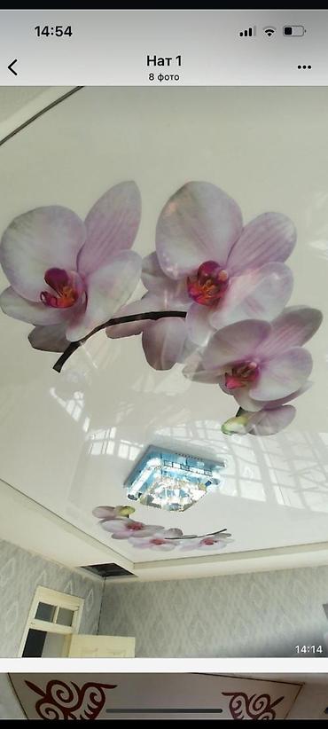 Натяжной потолок: Натяжной потолок Матовое, 3D потолки, Глянцевое Гарантия, Демонтаж, Монтаж — 28