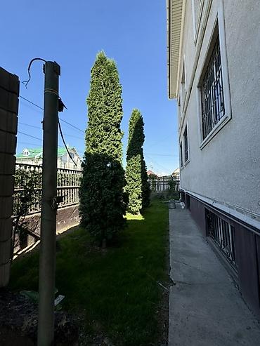 Долгосрочная аренда домов: 282 м², 6 комнат — 13