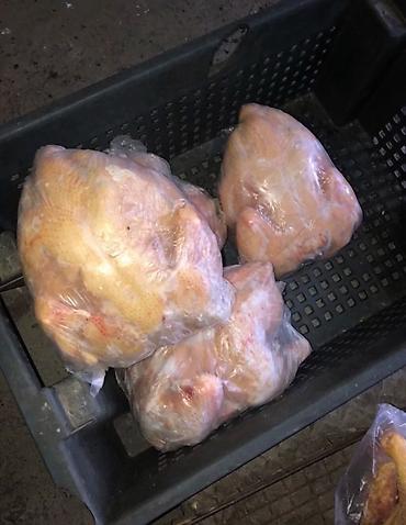 живой форел: 🐥🐥🐥 Халял❗️❗️❗️ Забой только сами делаем,строго по Шариату Куры — 4