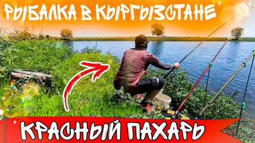 термо спорт: Первое в Кыргызстане Пособие для начинающих рыбаков 🎣 от Азиатского