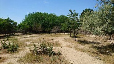 Torpaq sahələrinin satışı: 25 sot, Tikinti, Makler, Kupça (Çıxarış) -da lalafo.az — 6 Torpaq sahələrinin satışı: 25 sot, Tikinti, Makler, Kupça (Çıxarış) — 6