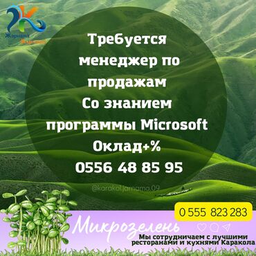 работа для меня: Продавец-консультант