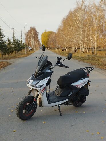 сидения степ спада: Скутер спортивного типа с высокими колесами - Тип: бензиновый