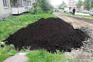 Bağ və bostan üçün digər məhsullar: Məhsul: Təbii peyin və qara torpaq (humus) Təsvir: - Kənd təsərrüfatı — 3