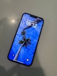 книги по подготовке к орт: IPhone 13 Pro Max, Колдонулган, 128 ГБ, Matte Space Gray, Заряддоочу түзүлүш, Каптама, Кабель, 79 %