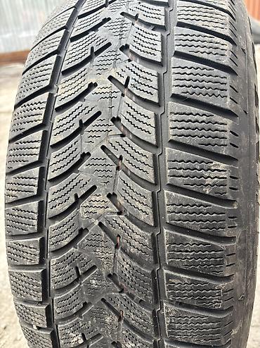 Шины: Шины 235 / 60 / R 18, Всесезонная, Б/у, Пара, Германия, DUNLOP — 2