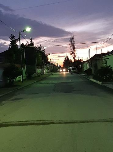 Həyət evi alıram: - Geniş, daşla döşənmiş həyət: yaşıl ağaclar, gül kolları, hasarlı — 17