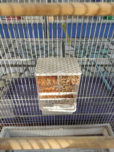 Зоотовары: Гнёзда для птиц! — 4