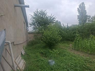 Həyət evləri və villaların satışı: 5 otaqlı, 120 kv. m, Kredit var, Yeni təmirli — 17