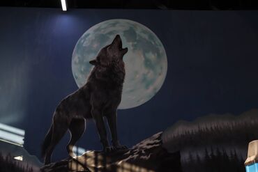 Kommersiya daşınmaz əmlakının satışı: SATILIR!!! Babək prospektində 3000m2 sahəsi olan 3-1də avtoservis -da lalafo.az — 7 Kommersiya daşınmaz əmlakının satışı: SATILIR!!! Babək prospektində 3000m2 sahəsi olan 3-1də avtoservis — 7