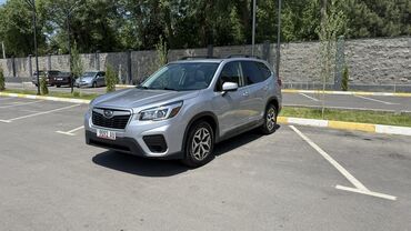 субари: Subaru Forester: 2019 г., 2.5 л, Вариатор, Бензин