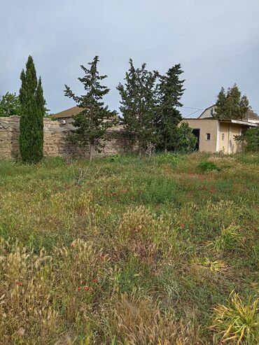 Torpaq sahələrinin satışı: 4 sot