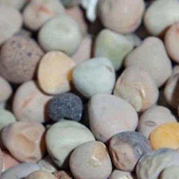 Другие сеялки: 🔥 посевной комплекс cansa (турция) по супер цене! 🔥 сеялка — 6