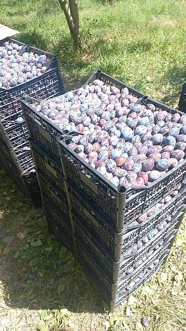 Ящики: Ящик — 4