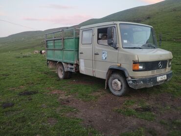 мерседес бенс делфин: Mercedes-Benz : 1987 г., 4 л, Механика, Дизель