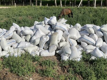 домашние петухи: Продаю птичий помет в мешках оптом и в розницу