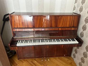 gitara ucun pedal: Belarus markalı akustik pianinoREAI ALİCİYA ENDİRİM OLACAQ - Tip — 1