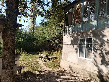 про маркет: Уй сатылат, Арстанбапта. участок 15 соток Кызыл китеби бар, 5 комнат — 2