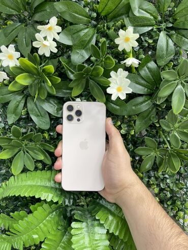 iphone 11 pro max dubai version: IPhone 12 Pro Max, 128 GB, Qızılı, Zəmanət, Face ID