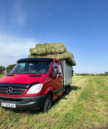 жалал абад автомобил: Mercedes-Benz Sprinter: 2007 г., 2.2 л, Механика, Дизель, Бус