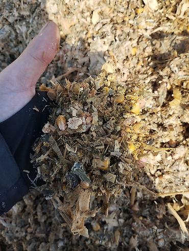 Корма для с/х животных: Кукурузный силос в мешках - Состав: измельчённая кукурузная масса с — 2